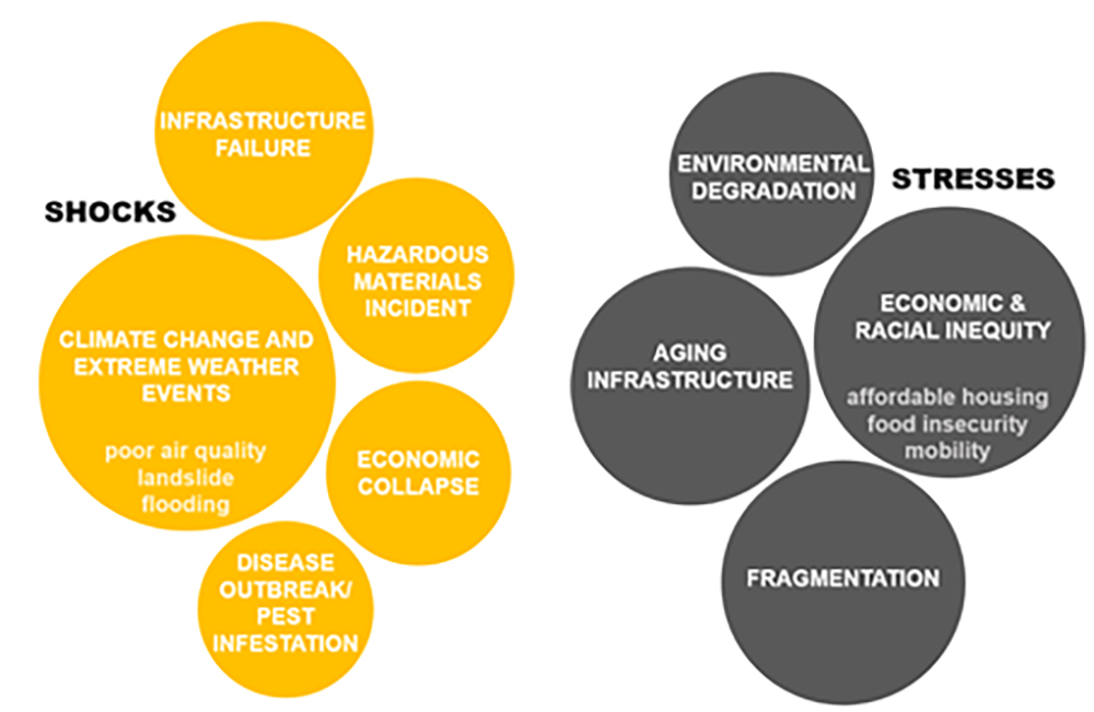 Shocks & Stresses Circle Graph